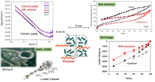 C-S-H nanostructure